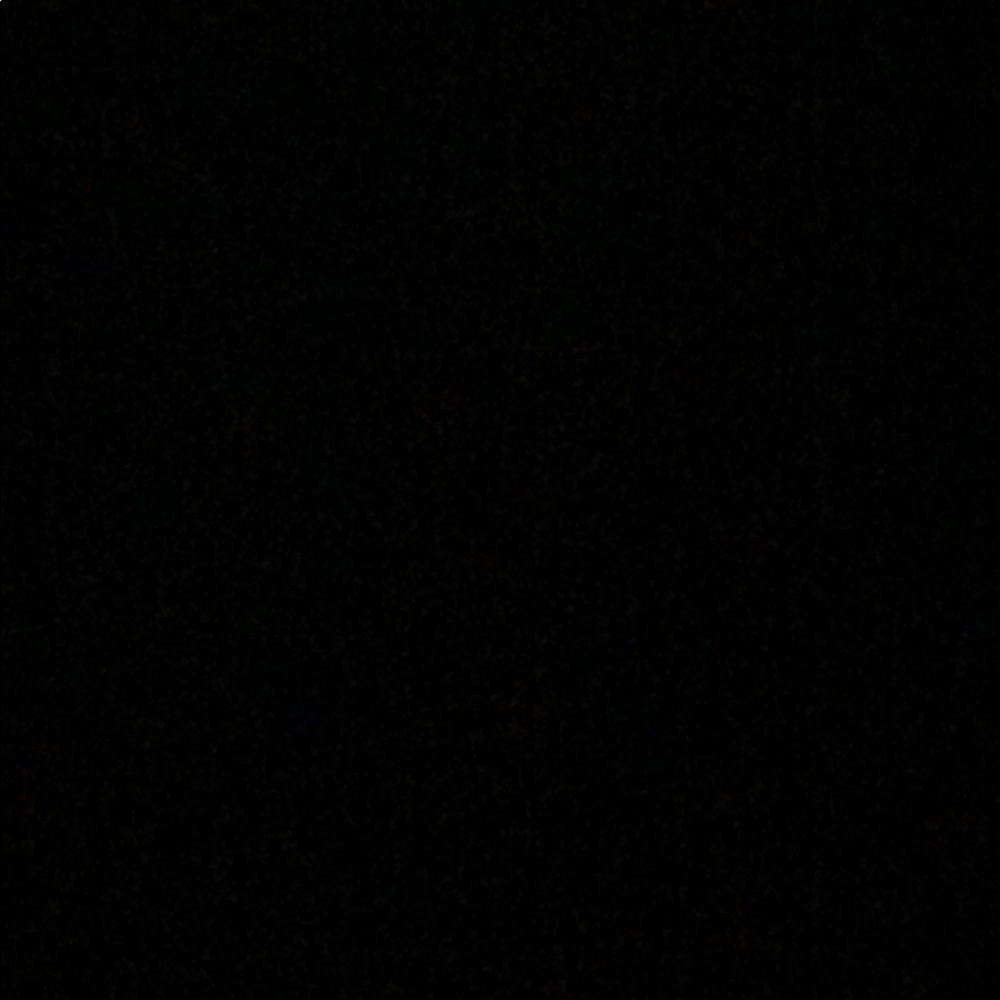 Meet your Posher, Kamryn